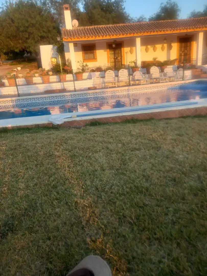 Piscina de Finca rústica en venda en Arcos de la Frontera amb Jardí privat i Piscina comunitària