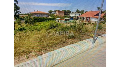 Terreno en venta en Sils, immagine 3