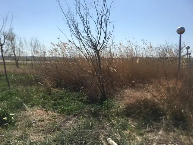 Oficina en venta en Artesa de Lleida