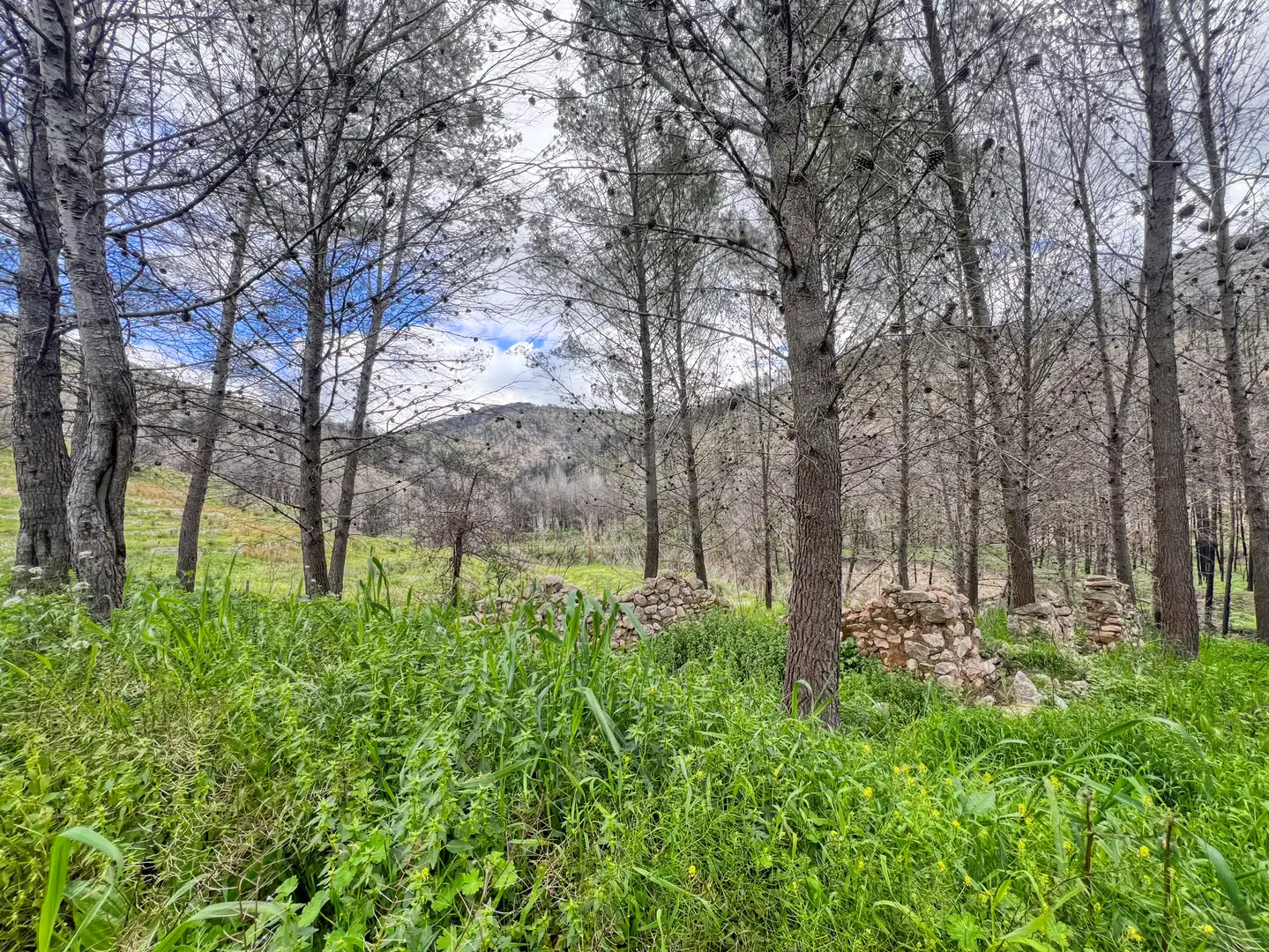 Residential for sale in Tàrbena
