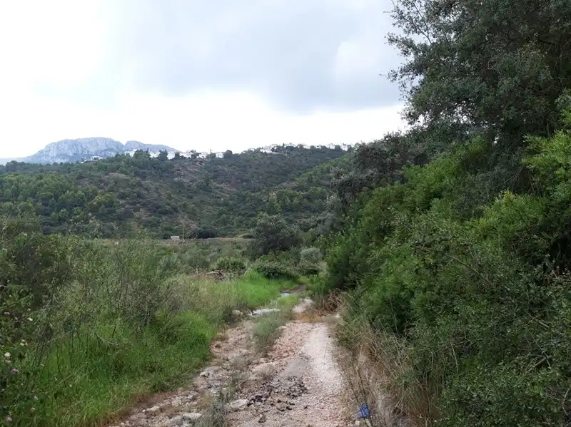 Terreno residencial en venta en Polígono 1 Parcela 130 RACONS DE PEGO, imagen 3