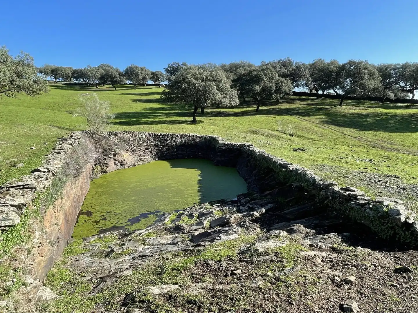 Terreni e lotti in vendita a Malpartida de Plasencia, imagen 8