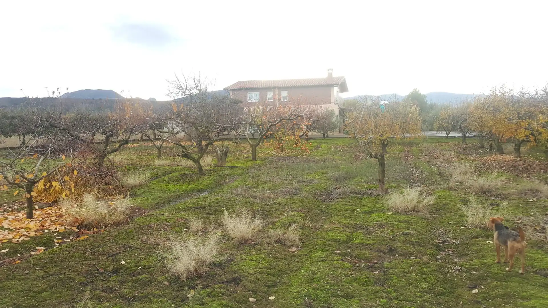 Xalet en venda a Lardero, imagen 4