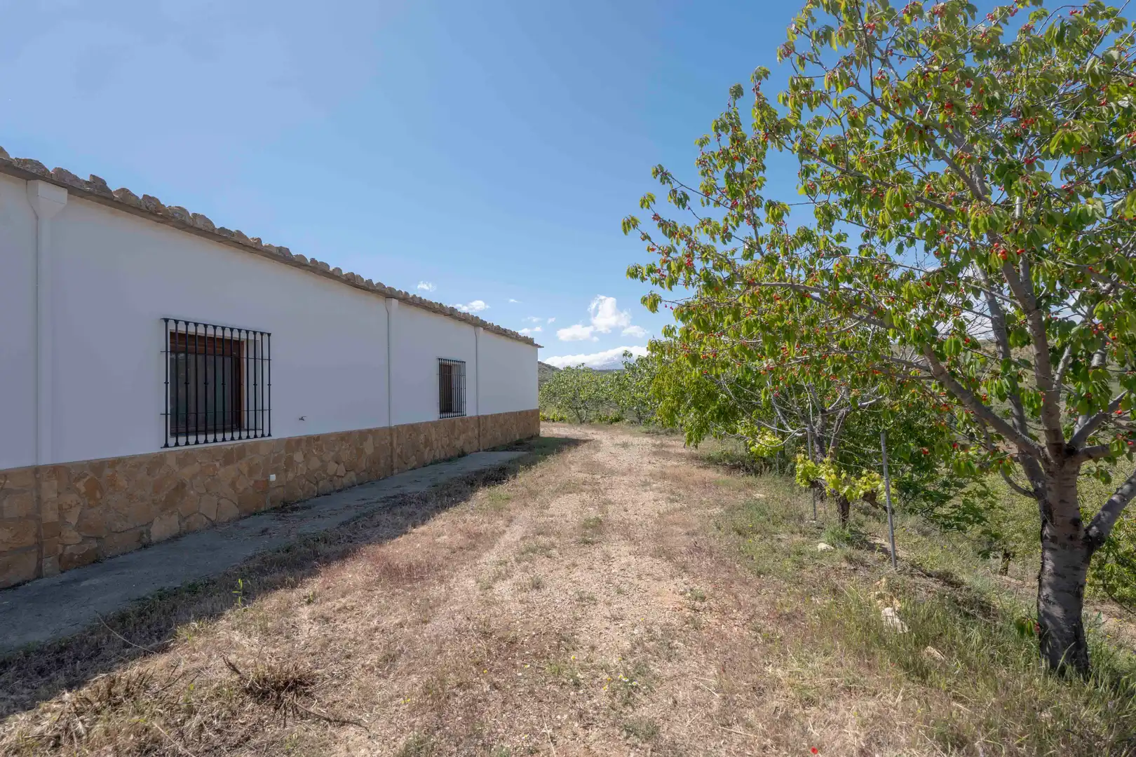 Casa o xalet en venda en Murtas amb Jardí privat, Terrassa i Piscina