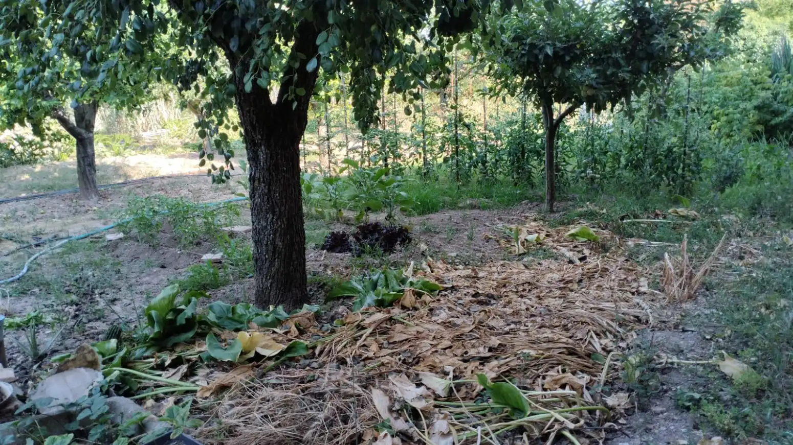 Casa adosada en venda en El Redal amb Calefacció i Jardí privat