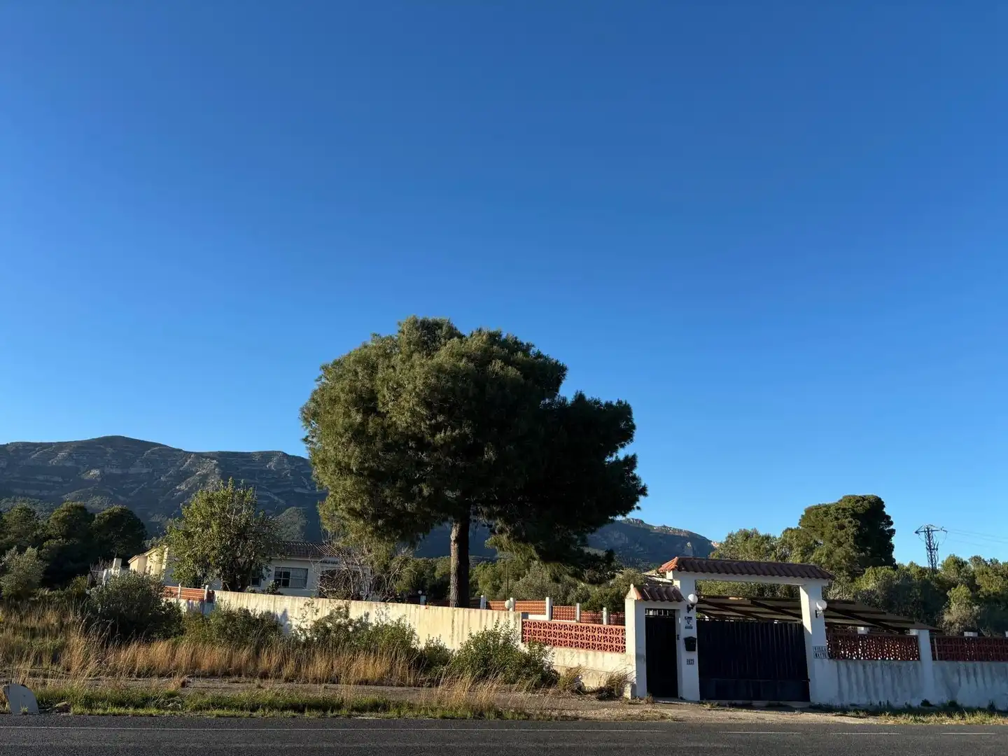 Vista exterior de Casa o xalet en venda en Alcanar amb Jardí privat, Traster i Piscina
