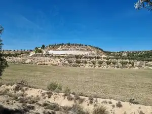 Terreno rústico en venta en Calle Granada, imagen 41