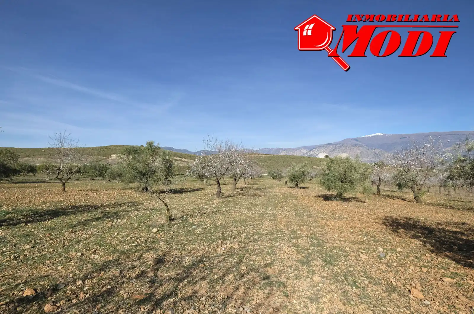 Terreni e lotti in vendita a El Valle, imagen 24