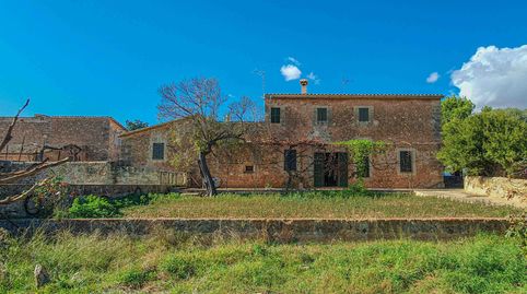 Foto 4 de Finca rústica en venta en Sa Casa Blanca, Palma de Mallorca