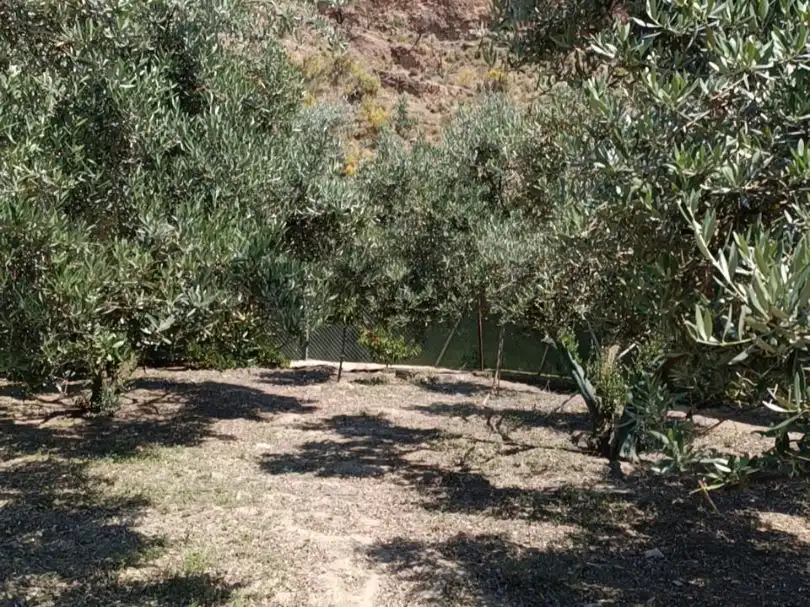 Jardín de Terreno en venta en Ugíjar