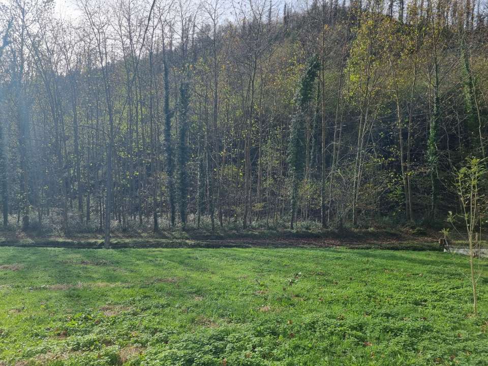 Casa o chalet en venta