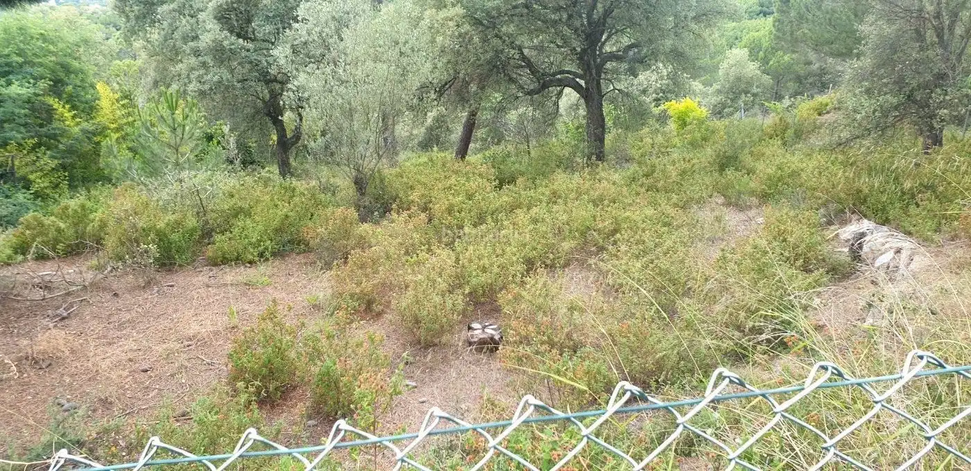 Lands and plots for sale in Canyamars, imagen 5