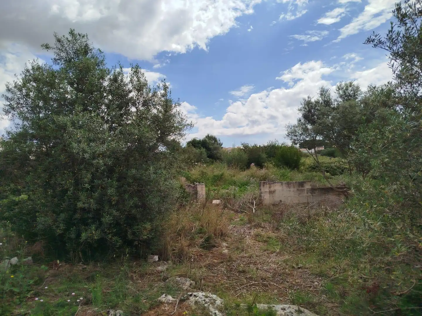 Grundstücke und Bauplätze zum Verkauf in GREGORI CERDO, imagen 19