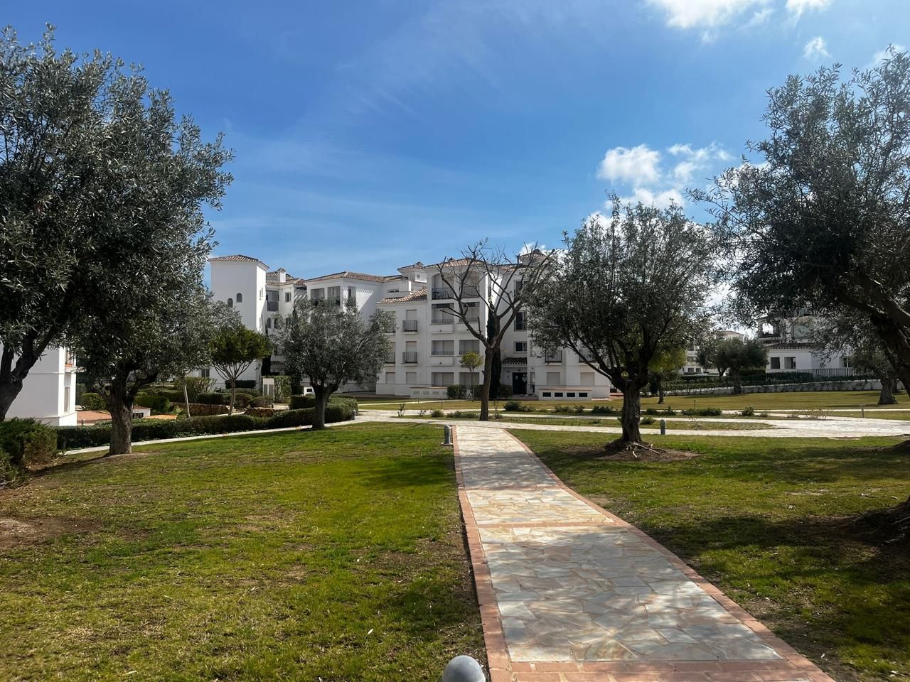 Vista exterior de Planta baja en venta en  Murcia Capital con Aire acondicionado, Calefacción y Jardín privado