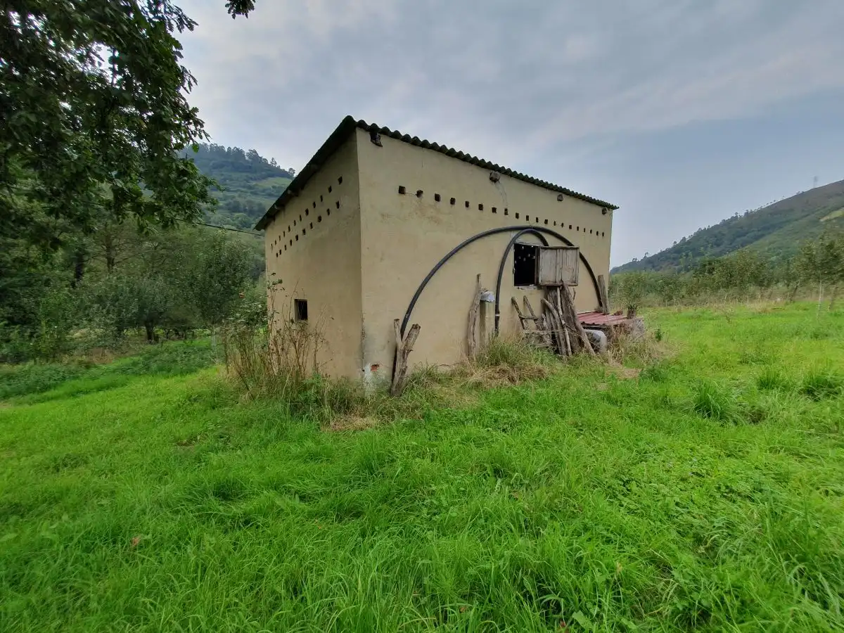 Maison rustique à vendre à Grado, imagen 11