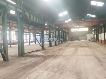 Nave industrial in vendita a Erandio
