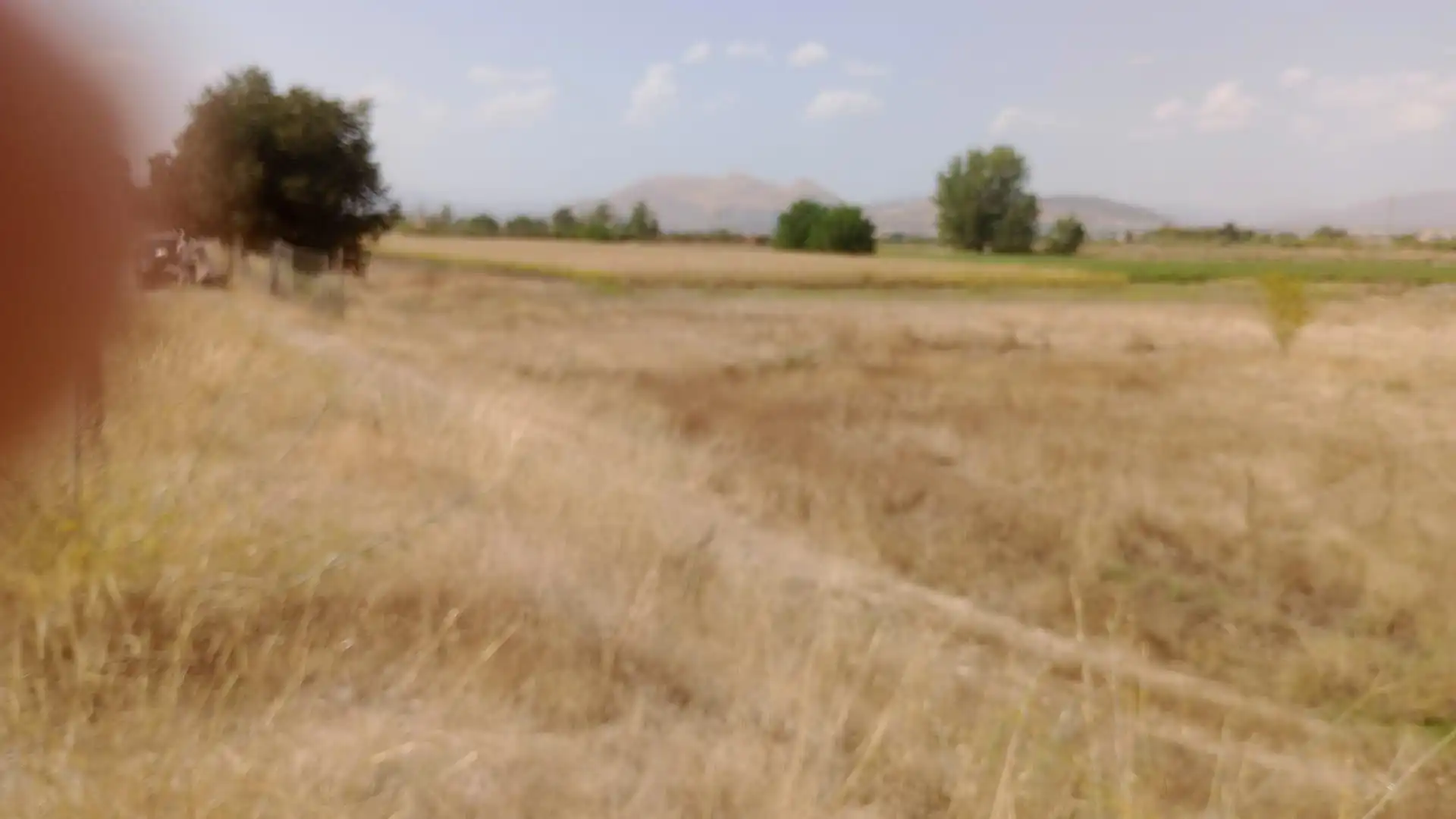 Terreno rustico in vendita a Ronda, imagen 11