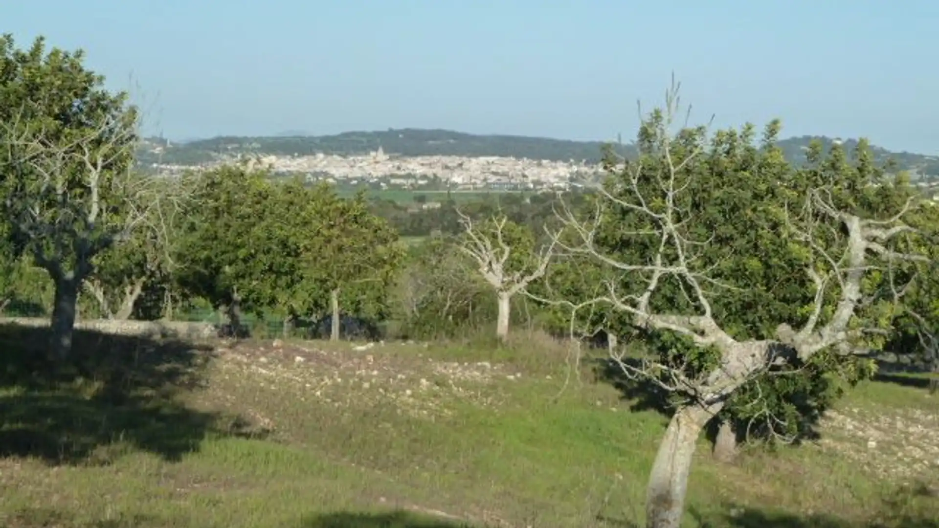 Casa o chalet en venta en Algaida