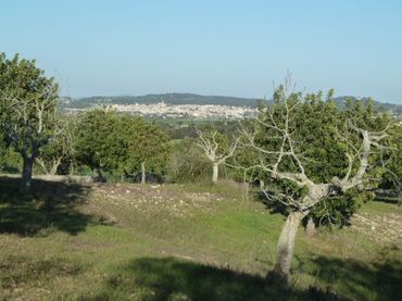 Casa in vendita a Algaida