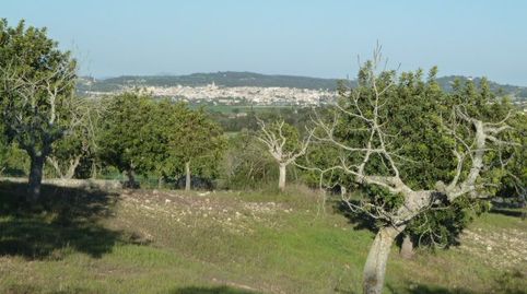 Imatge 1 de l'anunci