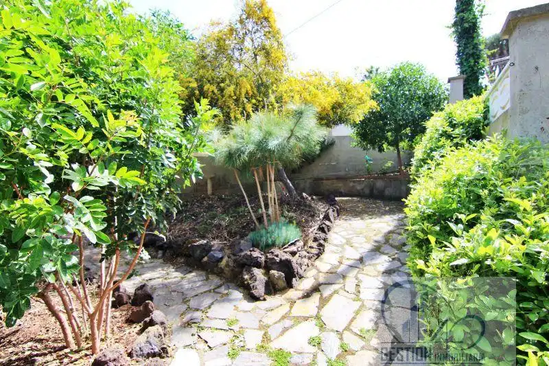 Jardín de Casa o chalet en venta en Tacoronte con Terraza y Trastero