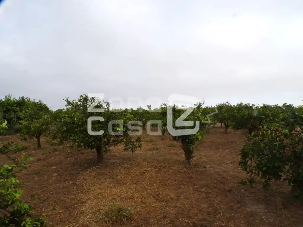 Casa rustica in vendita a Poligono 1 Paraje 48 Les Jovades, imagen 4