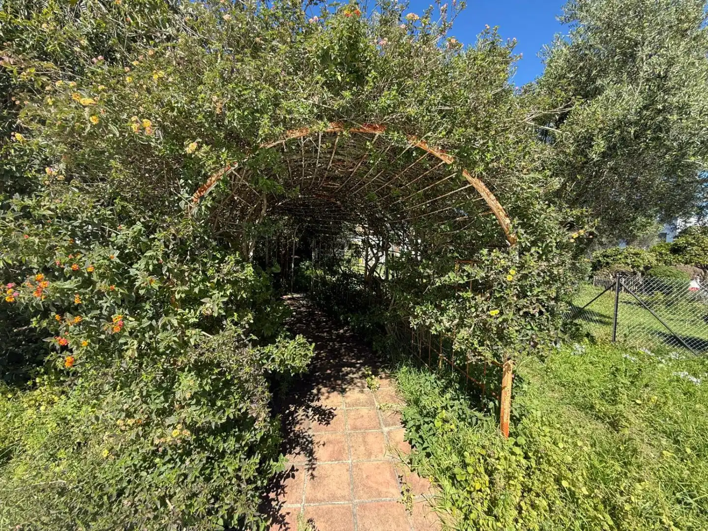 Garden of Houses for sale in Benalup-Casas Viejas  with Heating, Private garden and Terrace