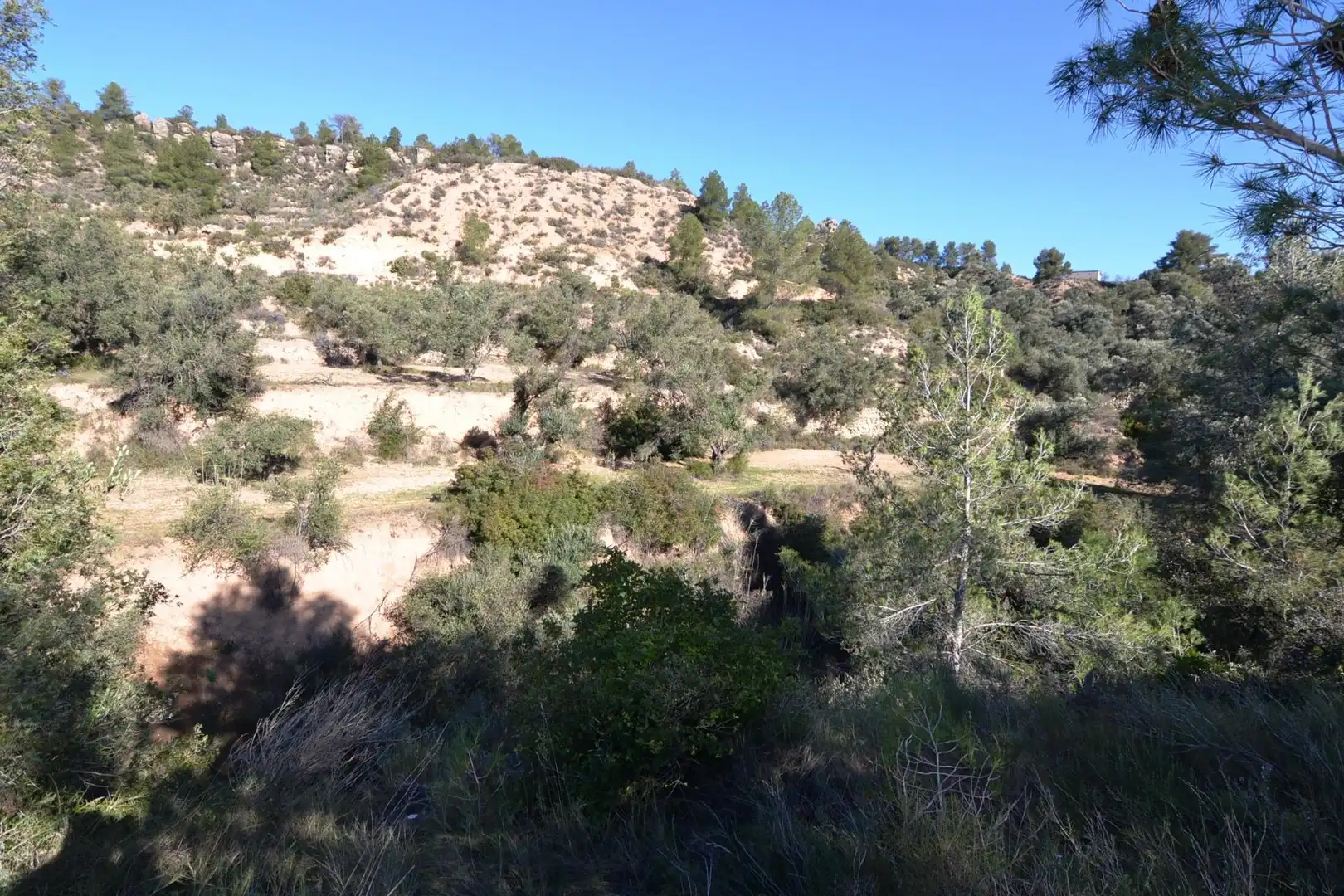 Rural land for sale in Ascó, imagen 24