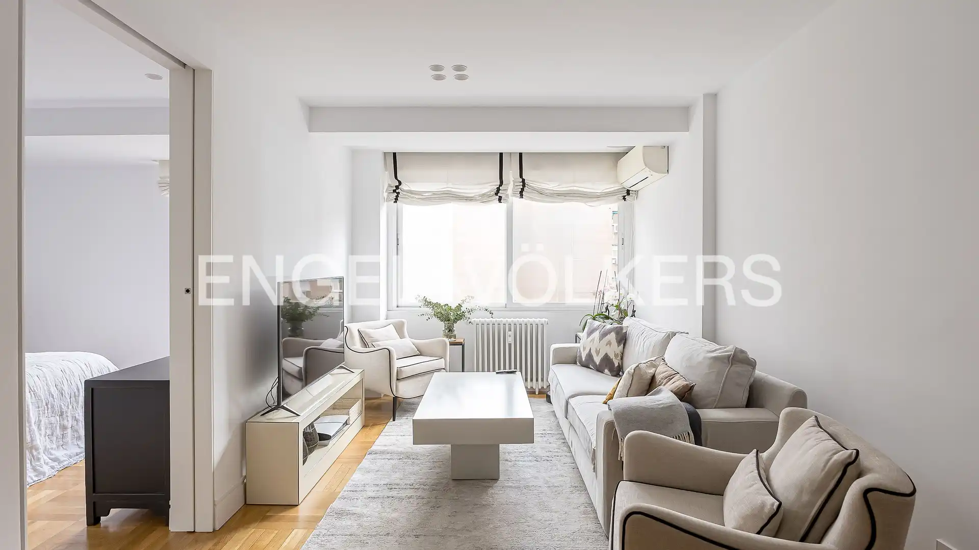Living room of Flat for rent in  Madrid Capital  with Air Conditioner, Heating and Furnished