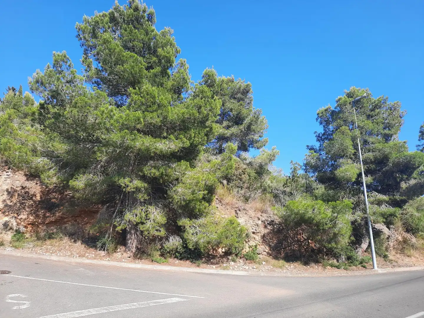 Terrenys i solars en venda a Segur de Dalt, imagen 9