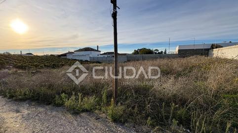 Foto 4 de Terreny en venda a Monteolivete - Camino Sevilla, Cádiz