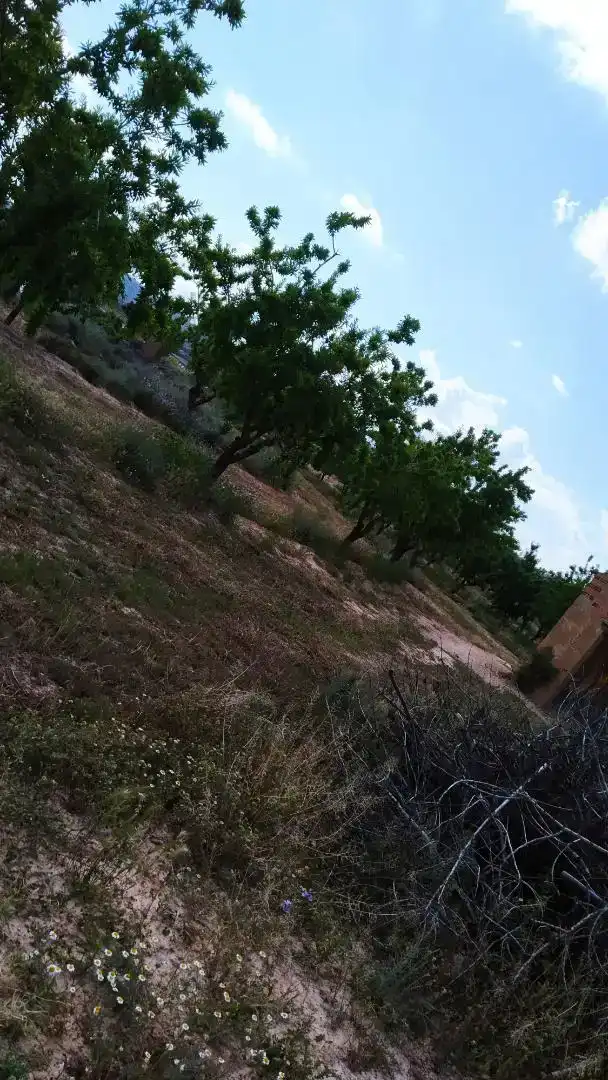 Pis en venda en Bovera