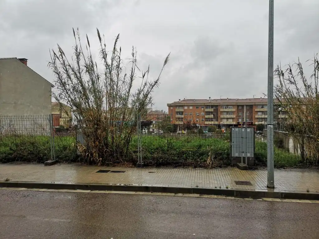 Terreny rústic en venda a C/ Mas la Creu, imagen 12