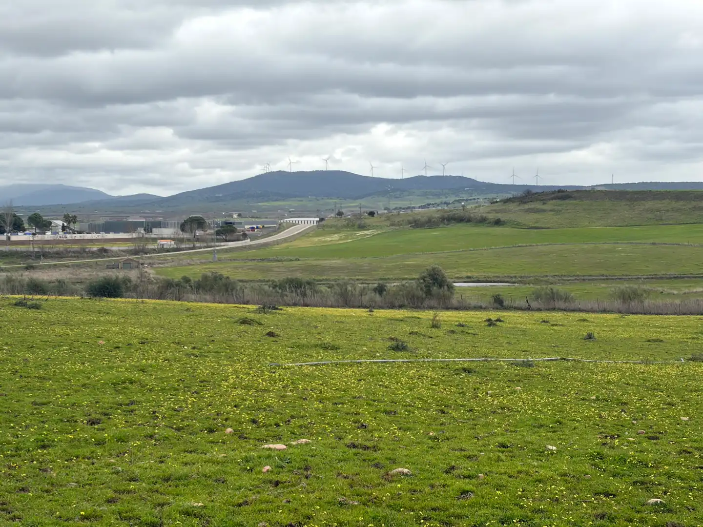 Vista exterior de Terreno en venta en Alagón del Río
