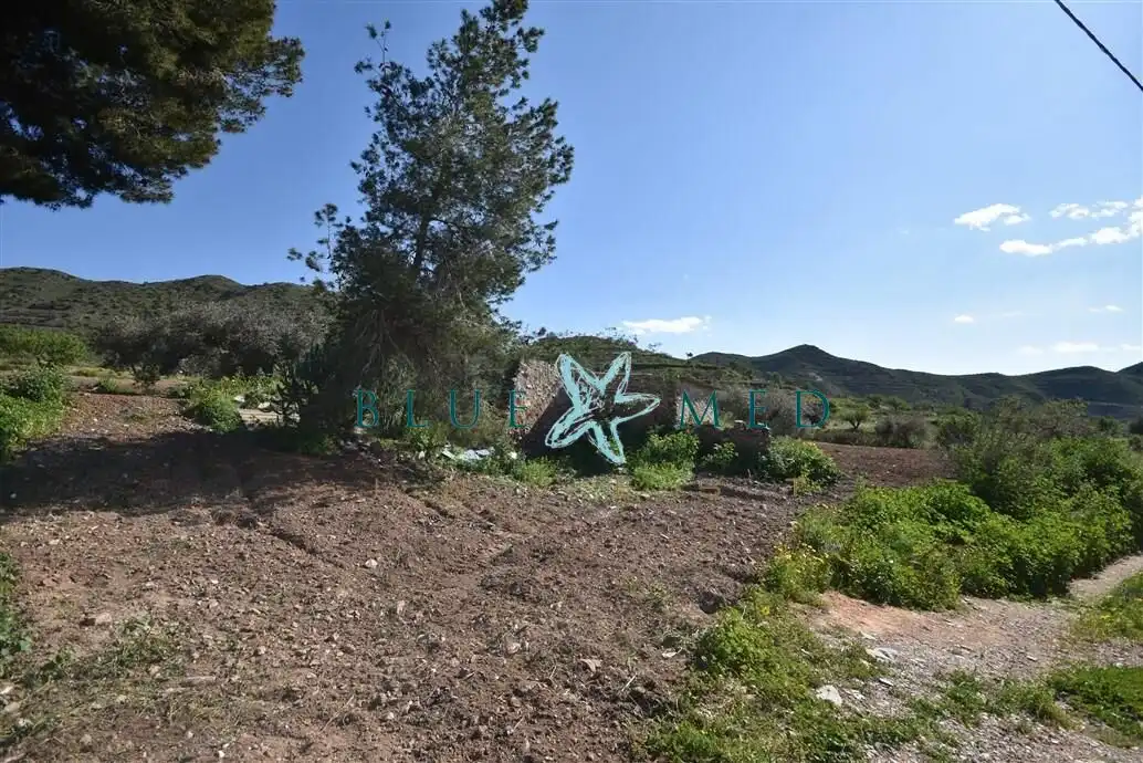 Terreni e lotti in vendita a Pedanías Oeste, imagen 11