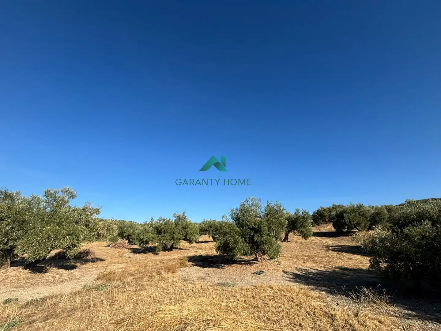 Terreno rústico en venta en Torredonjimeno, imagen 2