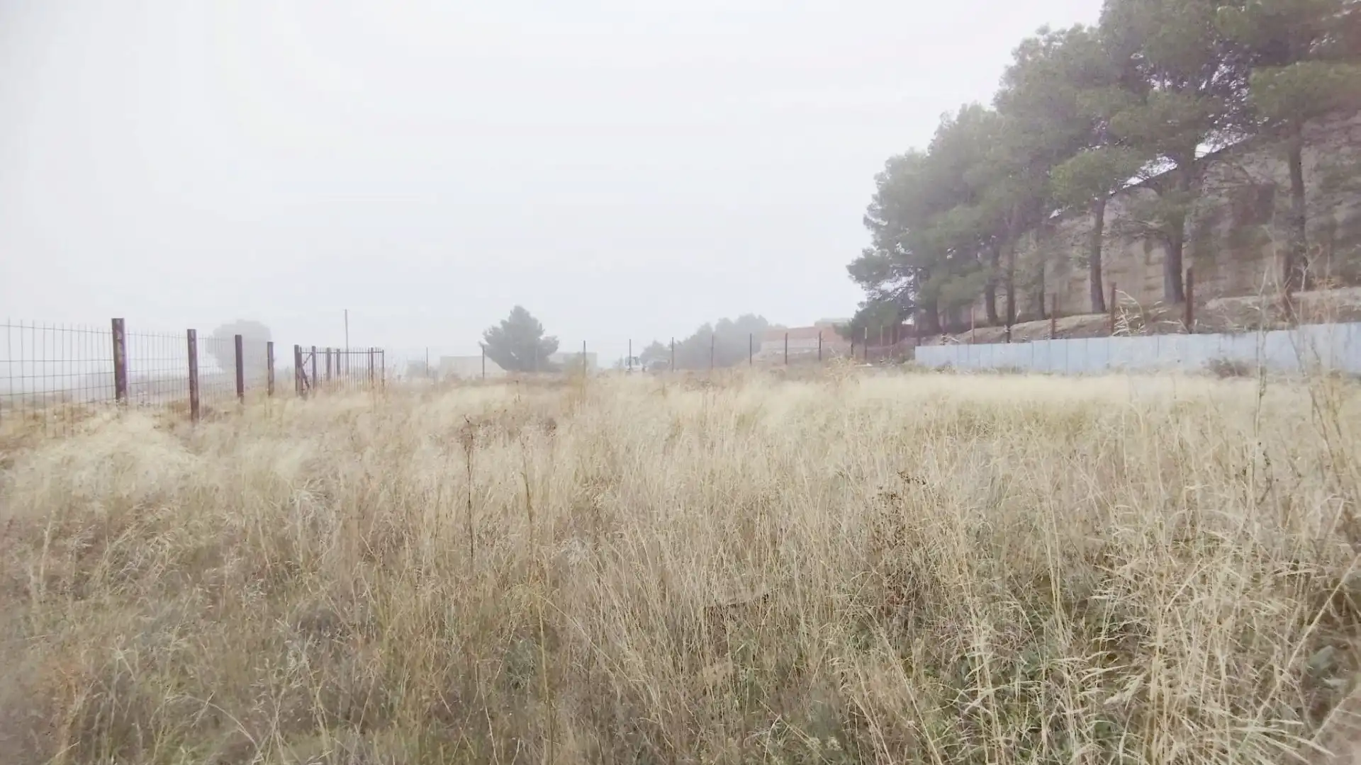 Houses for sale in Mediana de Aragón  with Private garden