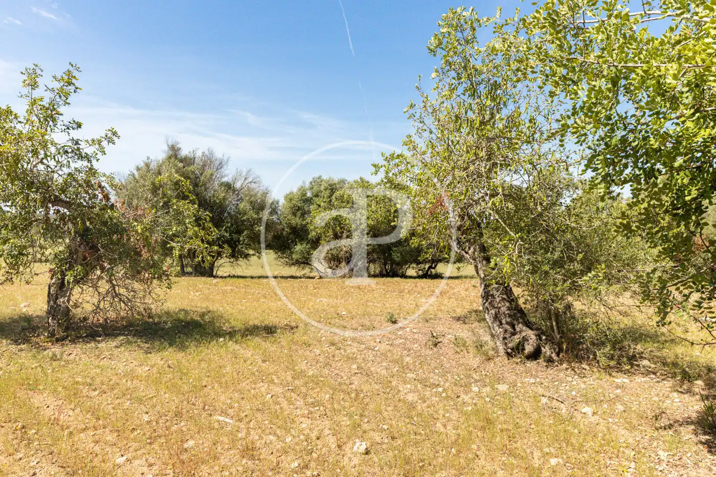 Residencial en venta en Felanitx