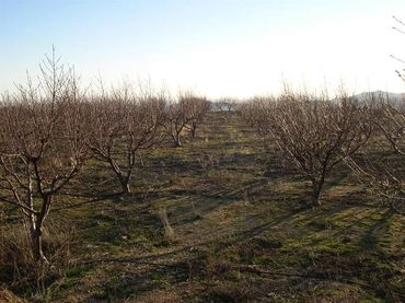 Terreny residencial en venda a Canillas de Albaida