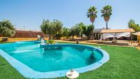 Piscina de Casa o xalet en venda en Utrera amb Aire condicionat, Jardí privat i Terrassa