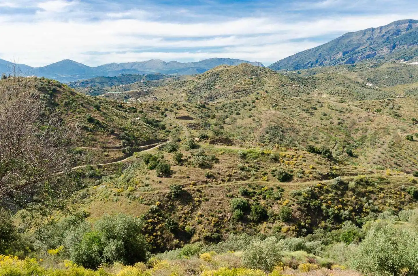 Terreno rústico en venta en Sedella, imagen 4
