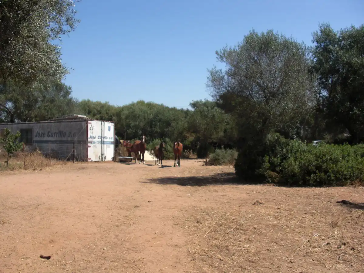 Casa rústica en venda a Vejer, imagen 3