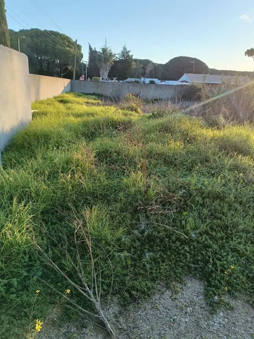 Casa o xalet en venda en Chiclana de la Frontera