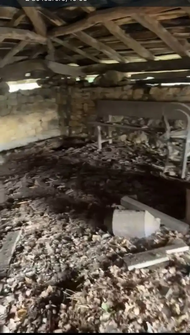 Casa o xalet en venda en Salas amb Terrassa i Piscina