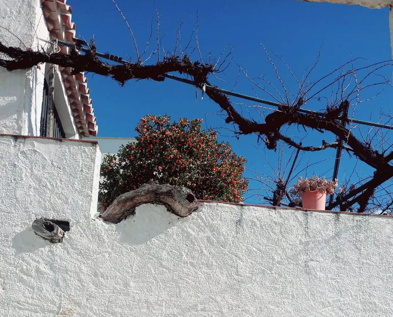 Maison avec jardin à vendre à Canillas de Aceituno, imagen 52