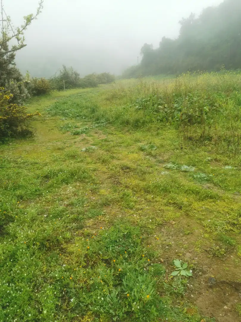 Land for sale in Santa Cruz de Tenerife