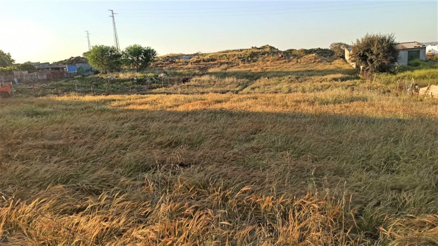 Terreno en venta en Gerena