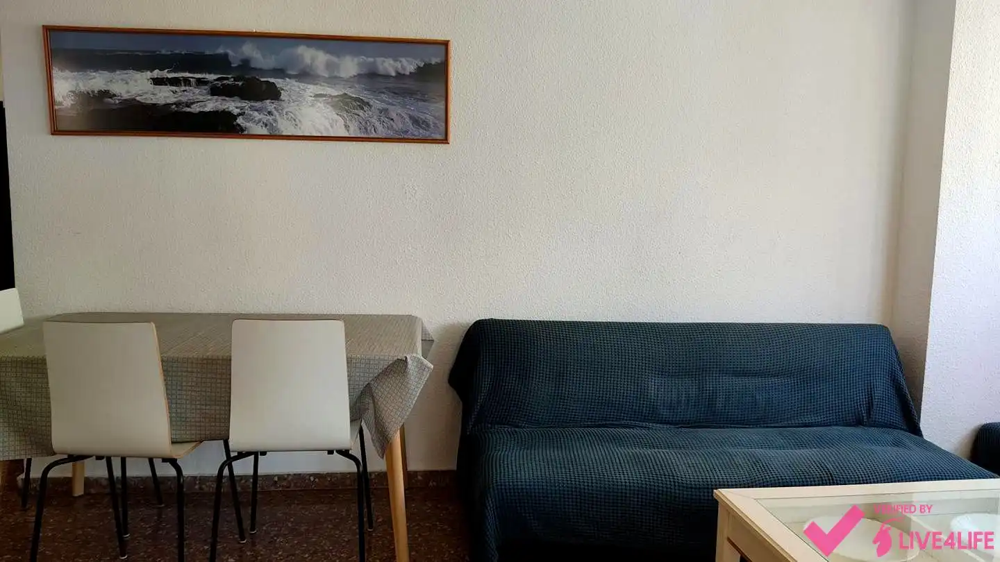 Sala de estar de Piso de alquiler en Valencia con Aire acondicionado y Amueblado