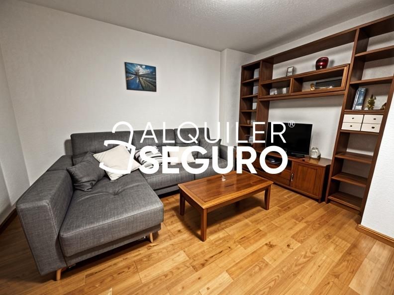 Living room of Flat to rent in  Madrid Capital  with Heating and Furnished