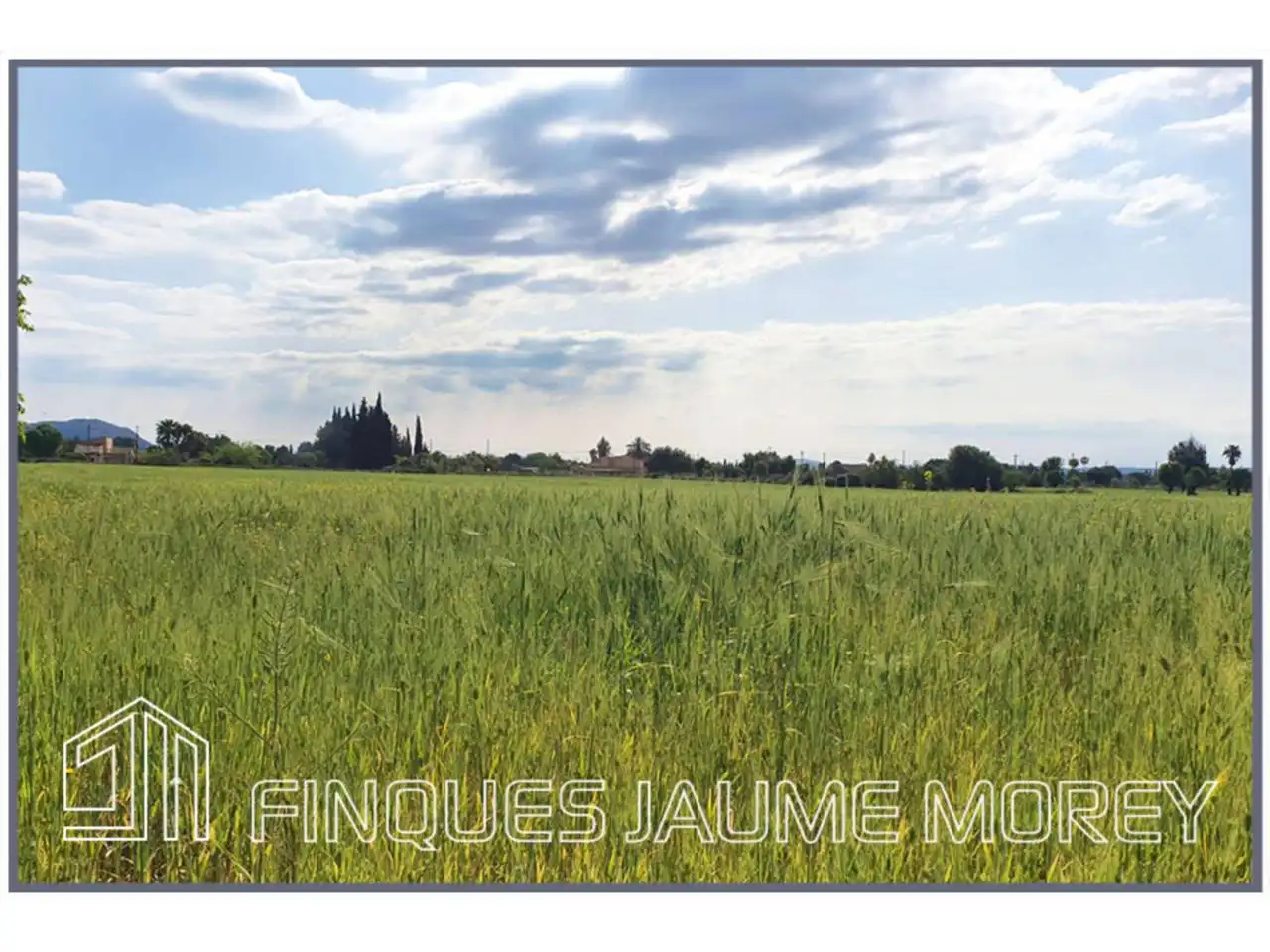 Residential for sale in Inca